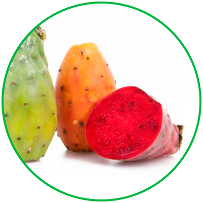fichidindia-naturalmentesiciliano