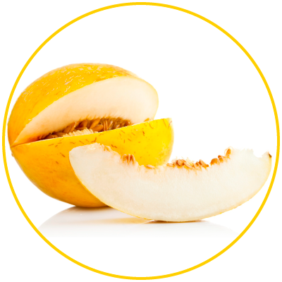 melone-naturalmentesiciliano