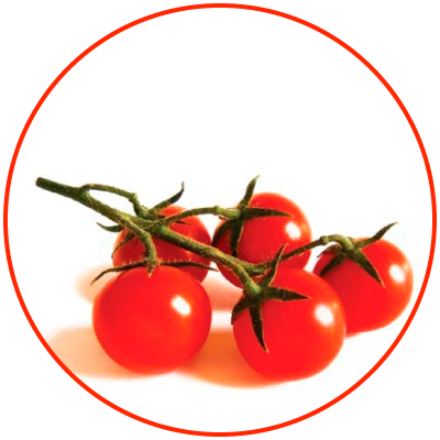 pomodorino-naturalmentesiciliano