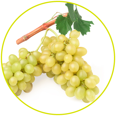 uva-naturalmentesiciliano