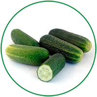 cetrioli-naturalmentesiciliano