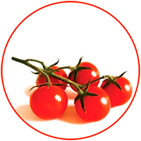pomodorino-naturalmentesiciliano